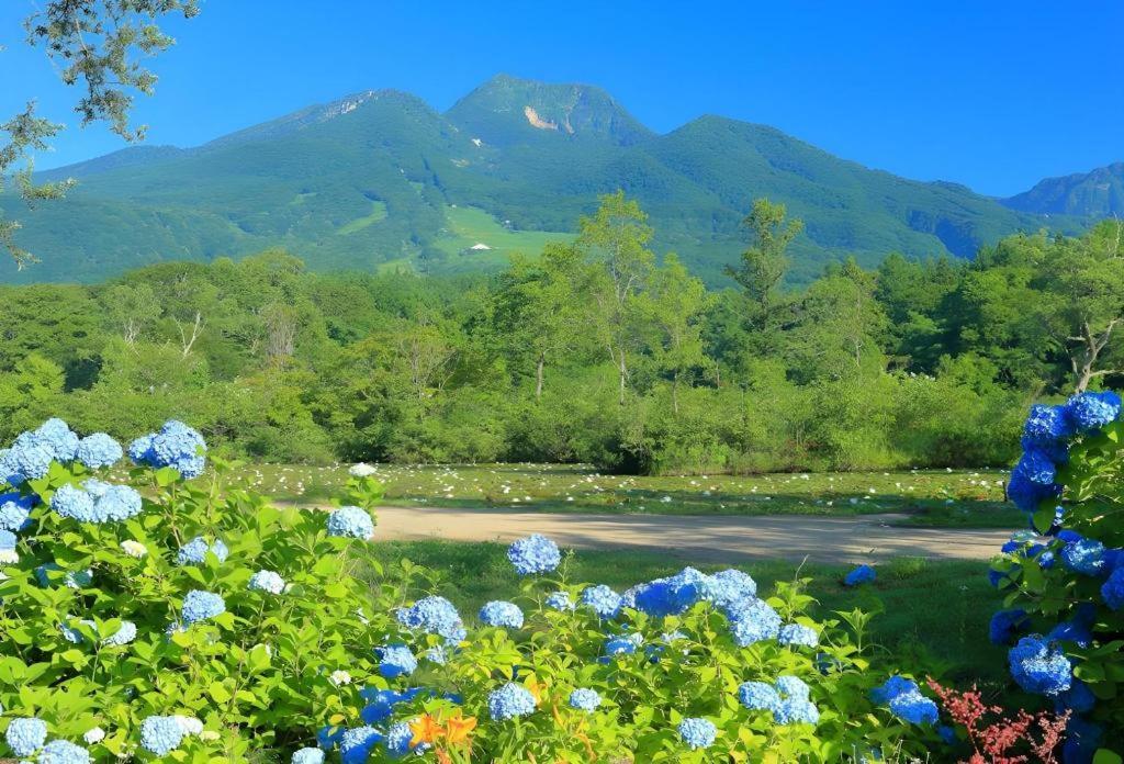 Akakura Park Hotel Мьоко Екстер'єр фото